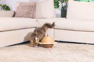 Designed by Lotte Wiggly Kloremøbel - 20cm (51-409147)