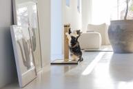 Designed by Lotte Vyda Klorestativ - 60cm (51-409166)