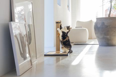 Designed by Lotte Vyda Klorestativ - 60cm (51-409166)