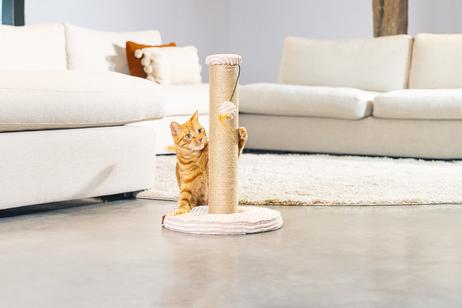 Designed by Lotte Klorestativ med Ribbestoff,  Rosa - 50cm (51-409176)