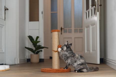 Designed by Lotte Klorestativ med Ribbestoff,  Terra - 50cm (51-409178)