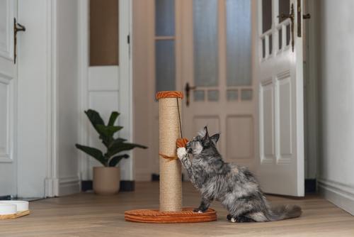 Designed by Lotte Klorestativ med Ribbestoff,  Terra - 50cm (51-409178)