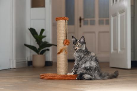 Designed by Lotte Klorestativ med Ribbestoff,  Terra - 50cm (51-409178)