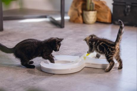 Rail Agty Kattungeleke,  Hvit - 50cm (51-440418)