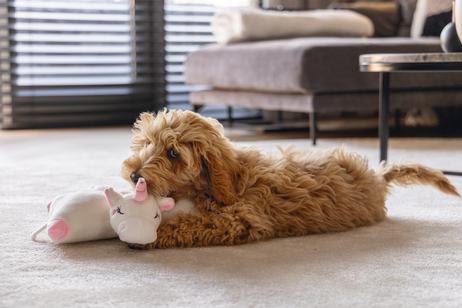 Valpeleke Heat Toy Enhjørning - 34cm (51-619150)