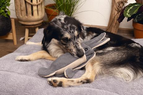 Minus One Miljøvennlig Hundeleke Blekksprut - 56cm (51-619153)