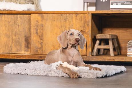 Sumo Mini Valpeleke,  Rosa - 11cm (51-626669)