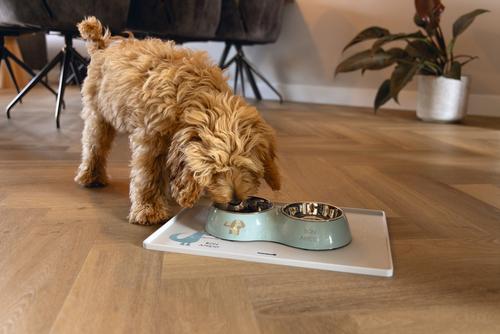 Droppy Dobbel Valpeskål - Grønn (51-650814-1500063943)