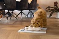 Binky Dobbel Valpeskål - Rosa (51-650829)