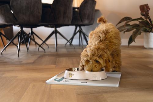 Binky Dobbel Valpeskål - Rosa (51-650829-1500063947)