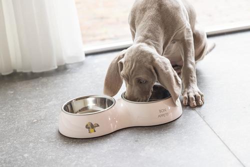 Binky Dobbel Valpeskål - Rosa (51-650829-1500063947)