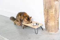 Designed by Lotte Linga Matskålstativ til Katt (51-653906)