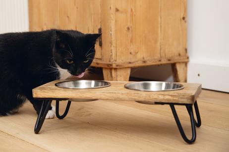 Designed by Lotte Linga Matskålstativ til Katt (51-653906)