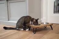 Designed by Lotte Linga Matskålstativ til Katt (51-653906)