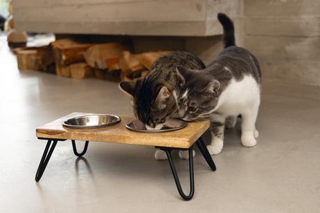 Designed by Lotte Linga Matskålstativ til Katt (51-653906)