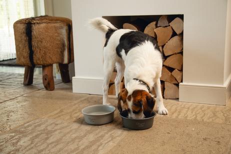 Designed by Lotte Feribo Hundeskål - Lys Grå (51-653923)