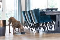 Designed by Lotte Silikon Underlagsmatte,  Beige - 55cm (51-656002)