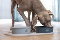 Designed by Lotte Silikon Underlagsmatte,  Beige - 55cm (51-656002)