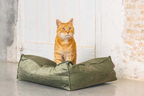 Designed by Lotte Velveti Katteseng,  Grønn - 50cm (51-704846)