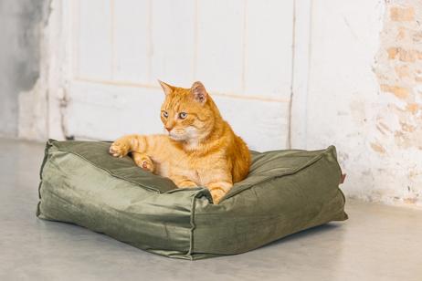 Designed by Lotte Velveti Katteseng,  Grønn - 50cm (51-704846)