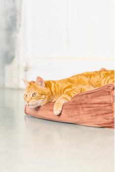 Designed by Lotte Velveti Katteseng,  Rosa - 50cm (51-704847)