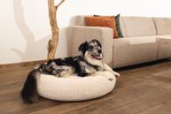 Jaxx Ortopedisk Hundeseng - Beige (51-707385-1500069596)