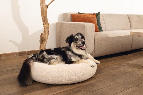 Jaxx Ortopedisk Hundeseng - Beige (51-707385-1500069596)