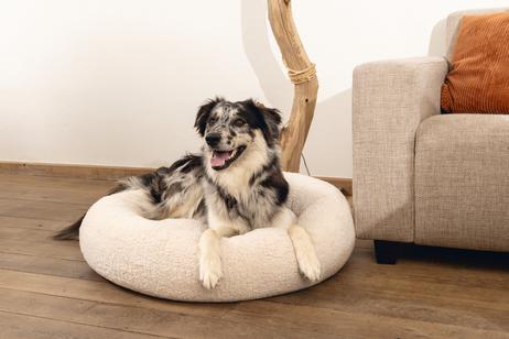 Jaxx Ortopedisk Hundeseng - Beige (51-707385-1500069596)