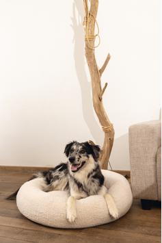 Jaxx Ortopedisk Hundeseng - Beige (51-707385-1500069596)