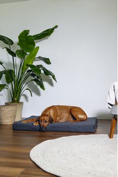 Zira Memory Foam Hundemadrass - Mørk Grå (51-707600-1500069588)