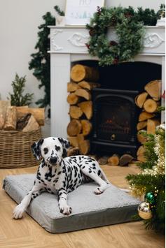 Zira Memory Foam Hundemadrass - Lys Grå (51-707605-1500019362)