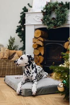 Zira Memory Foam Hundemadrass - Lys Grå (51-707605-1500019362)