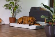 Zira Memory Foam Hundemadrass - Lys Grå (51-707605-1500019362)