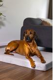 Zira Memory Foam Hundemadrass - Lys Grå (51-707605-1500019362)