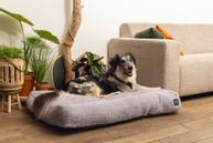 Minus One Don Hundeseng,  Lysgrå - 100cm (51-716140)