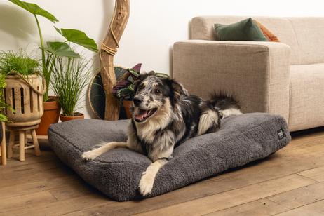 Minus One Don Hundeseng,  Grå - 100cm (51-716142)