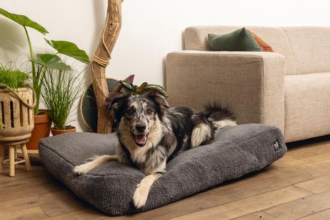 Minus One Don Hundeseng,  Grå - 100cm (51-716142)