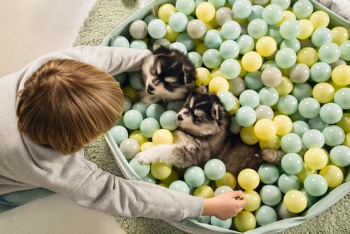 Funchie Ball Pool Valpeleke - 80cm (51-795858)