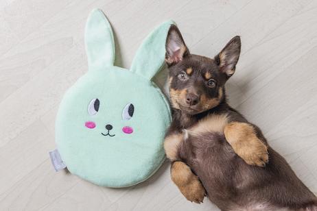 Varmeplate med Trekk til Valp - 21cm (51-795862)