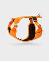  Paikka Visibility Hundesele - Orange