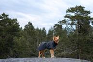 Paikka Visibility Varmedekken - Mørk (120-1040049)