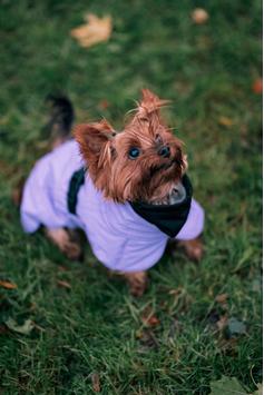 Paikka Visibility Varmedekken - Lilla (120-1047001-1500017150)