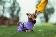 Paikka Visibility Varmedekken - Lilla (120-1047001-1500017150)