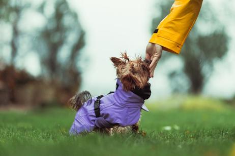 Paikka Visibility Varmedekken - Lilla (120-1047001-1500017150)