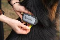 Tractive GPS XL Adventure Edition Klips til Halsbånd, Multifarget - 3stk (TRDOG4XLCADV)