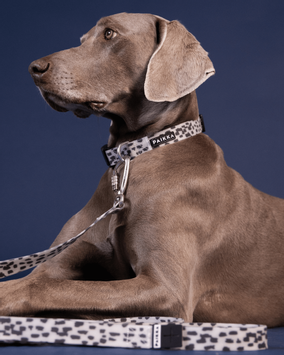 Paikka Glow Kobbel 2.0 (120-1039030-1500012509)