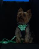 Paikka Hundesele 2.0 (120-1039025-1500052361)