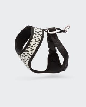  Paikka Mesh Hundesele 2.0