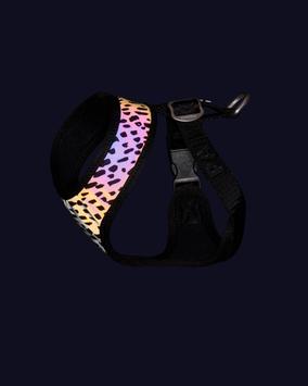 Paikka Mesh Hundesele 2.0 (120-1039022-1500014562)