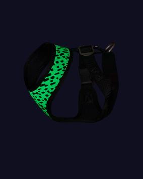 Paikka Mesh Hundesele 2.0 (120-1039022-1500014562)